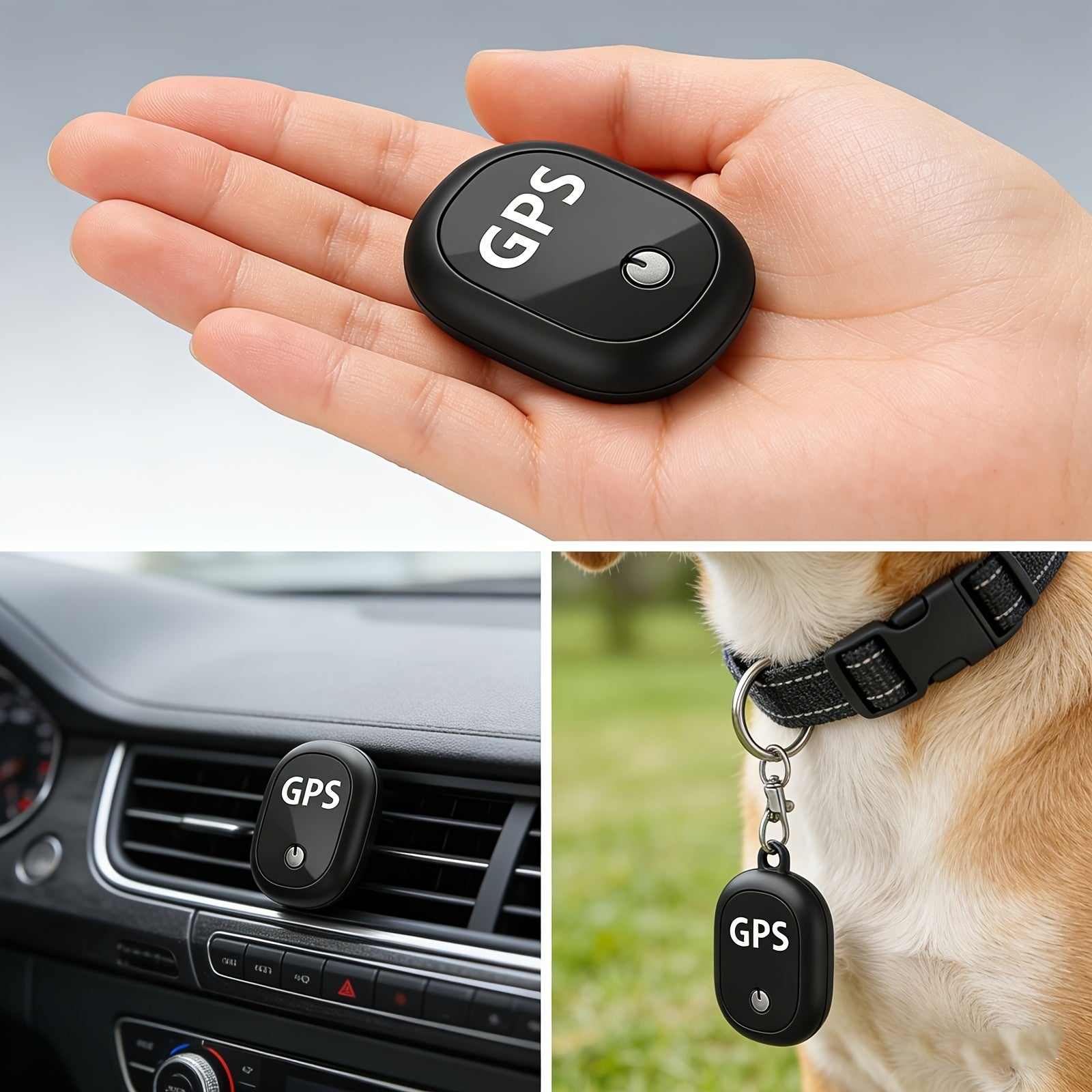 Portable Pet Safety Pendant - All-Day Activity Zone Monitor, No Subscription Peaceful Companionship